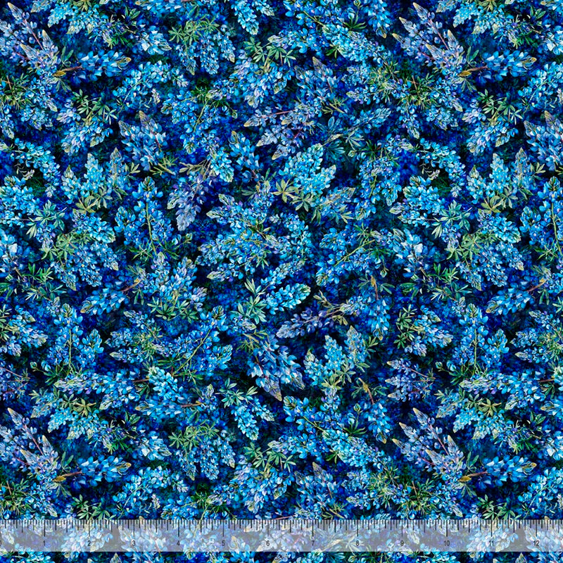 Bluebonnets Navy