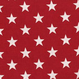 Quilt Back - 108" - Patriotic Print #29 Red