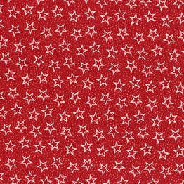 Quilt Back - 108" - Patriotic Print #3 Red