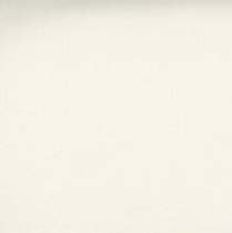 Quilt Back - 108" - Dream Cotton Solid Ivory