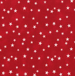 Quilt Back - 108" - Patriotic Print #22 Red