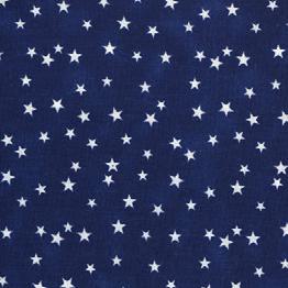 Quilt Back - 108" - Patriotic Print #23 Blue