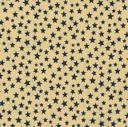 Quilt Back - 108" - Patriotic Print #31 Antique Blue