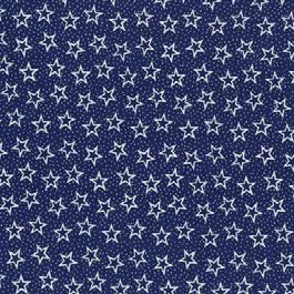 Quilt Back - 108" - Patriotic Print #4 Blue